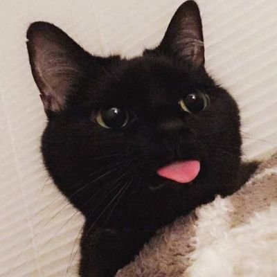 talyaqh's profile picture. nothing her✧*。




𝕸𝖔𝖈𝖍𝖎