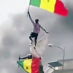 check_legal's profile picture. Aar Sunu Démocratie