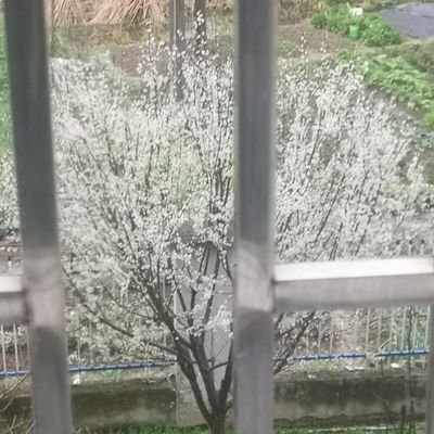 8dDNKB4ctVmePsF's profile picture. 无