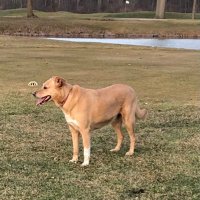 avonoaksturf (@avonoaksturf) 's Twitter Profile