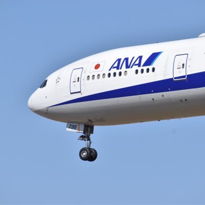 ANA/boeing/A380/乃木坂46櫻坂46/ロッテファン/ヤクルトファン/たまに電車も/Nikon D3500 HND&NRTベース 飛行機の知識は全くありません