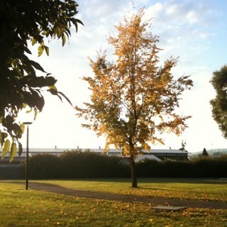 jae_z8's profile picture. Arsitek | Thinker | Wanderer. Design is intelligence made visible.