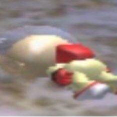 out of context stuff from the Pikmin community • Owners are followed • DM for submissions • most things posted aren’t made by the account owners