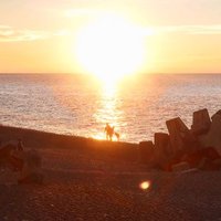 hisui magatama (@ftddxi40alrwjes) 's Twitter Profile