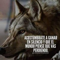 javier (@javier1460) 's Twitter Profile