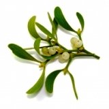 CasaertGuy's profile picture. 