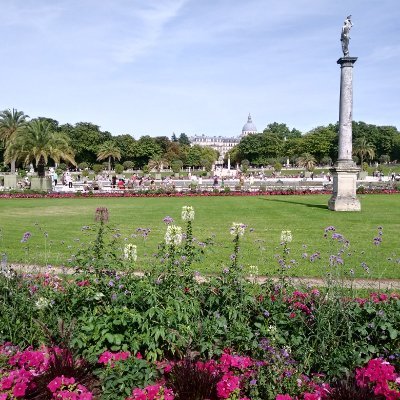 mauro_20g's profile picture. Buenos Aires