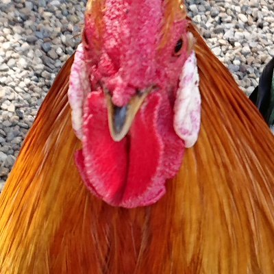 Ko9d2oZSjGZAn0N's profile picture. 遥か上を目指すことに決めた動画編集者です。ただ動画編集を覚えただけでは長続きしない上に安い案件の奪い合い！それなら遥か上のブルーオーシャンを目指して動画マーケティングを習得して月収7桁超えを目指そう！2025年中に！DM、フォローをはお気軽にどうぞ！#SNSマーケター #動画編集者