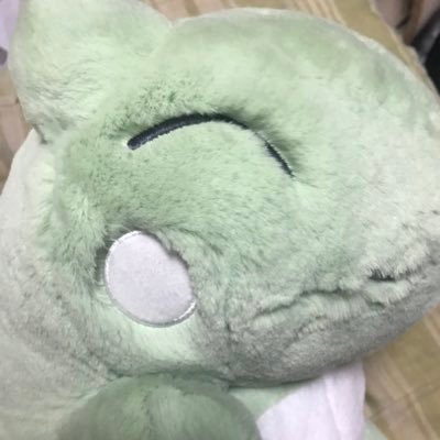 しのさんのプロフィール画像