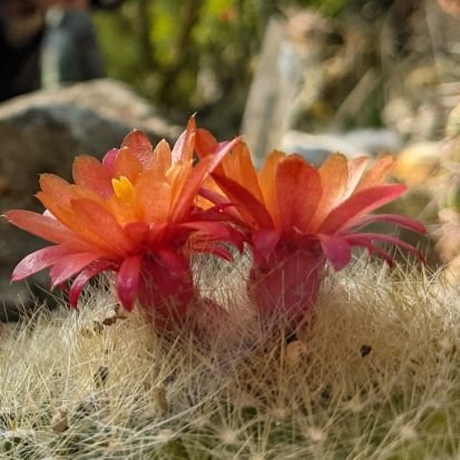 Ekotap07Okohagi's profile picture. 