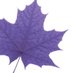 Laurier Research (@LaurierResearch) Twitter profile photo