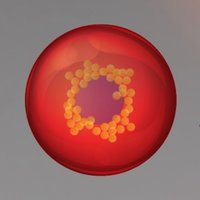 SYNCELL2021 (@syncell2021) 's Twitter Profile