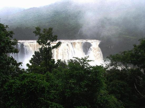 SAVEATHIRAPALLY's profile picture. WE HATE Athirappilly dam project...... KERALA

(SAVE The beauty of Athirappilly and Vazhachal waterfalls....