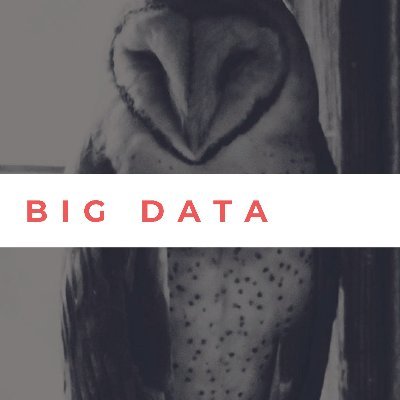 ChrisBr84334101's profile picture. Focused on shining a light on the darknet through DarkINT and query automation