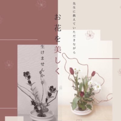 白百合女子大学の池坊華道部🌸ご質問、入部希望などお気軽にdmまで連絡ください。1年生から4年生まで、いつでも新入部員歓迎です☺️✨