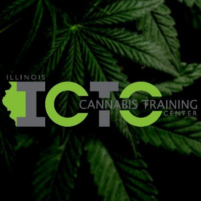 A State-Approved cannabis training organization certified to provide #cannabiseducation in Illinois for individuals and organizations. #blackowned #veteranowned