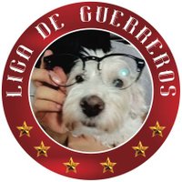 Selene Ramos (@selener92455585) 's Twitter Profile
