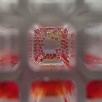 Research lab @LSI_Exeter. 
#microfluidics, #singlecell, #highthroughput, #spheroids, #AMR