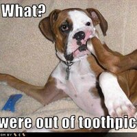 Nicki Deans (@nicknacknoo1) 's Twitter Profile