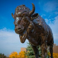 UBuffalo Social Work (@ubssw) 's Twitter Profile