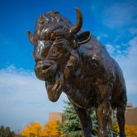 UBuffalo Social Work(@UBSSW) 's Twitter Profile Photo