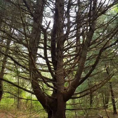 etsikietsi1's profile picture. I'm just here to like, comment on, and retweet BDSM content. Feel free to follow me if you are similarly inclined.