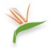 Santa Barbara Public Library (@sbplsystem) Twitter profile photo Santa Barbara Public Library (@sbplsystem) Twitter profile photo