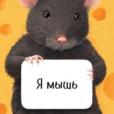 UDPl8iX9LrOLbXO's profile picture. 