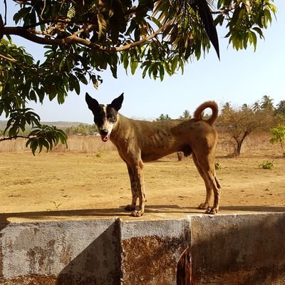 jwejdjnhdi's profile picture. 