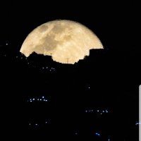 عبدالله (@k0e5nxmak6tbavh) 's Twitter Profile