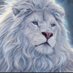 albino aslan (@tbilzetta) Twitter profile photo albino aslan (@tbilzetta) Twitter profile photo