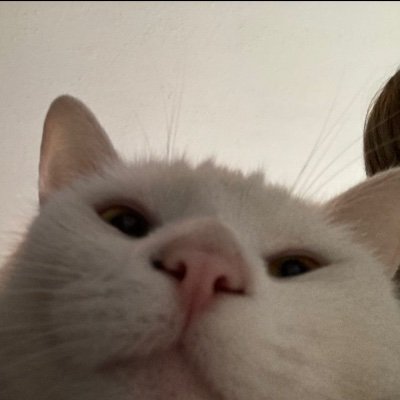 boboowastakenn's profile picture. sksksk alt: @totallynotboboo

Logging off