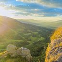 Lynn Greaves M - @LynnManoharan - Twitter