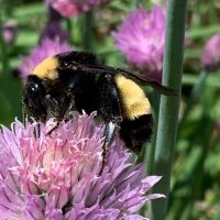 Anthony Zukoff (@westksbugs) 's Twitter Profile Photo Anthony Zukoff (@westksbugs) 's Twitter Profile Photo