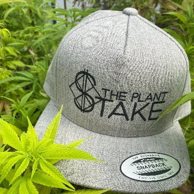 The Plant Stake