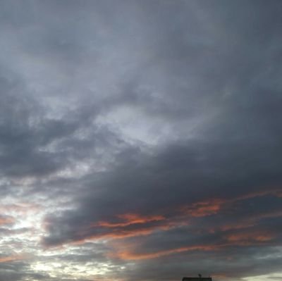 ManuelSanchezl's profile picture. 