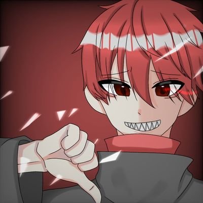 Meran Ds初心者 動画撮るとラグくなる