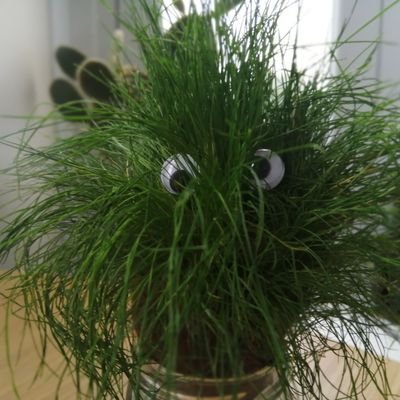 KateRumboldt's profile picture. Marmite lover.  Tea drinker.  Bench sitter.  Twitter lurker and retweeter.