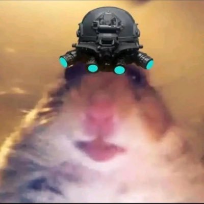 velozcaballo216's profile picture. ..