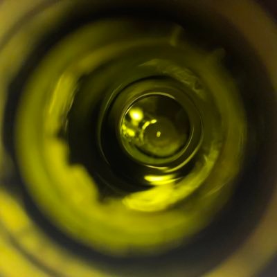 argc_arg's profile picture. 