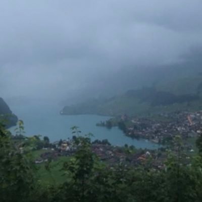 mohammado1426's profile picture. عندما يمدح الناس شخصاً، قليلون يصدقون ذلك وعندما يذمونه فالجميع يصدقون✨