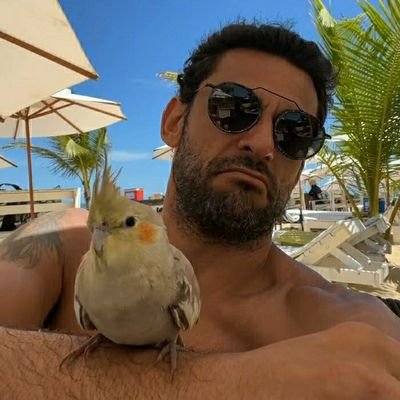 bejjansen's profile picture. Fluminense até a morte🇭🇺🇭🇺

Se é mulambo(a) fanático nem segue