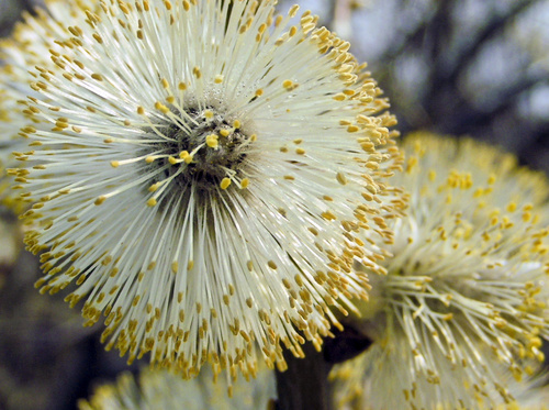 _sanddra_'s profile picture. 