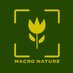 Macro Nature (@nature_macro) Twitter profile photo