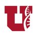 UofU General Internal Medicine (@UofUGIM) Twitter profile photo