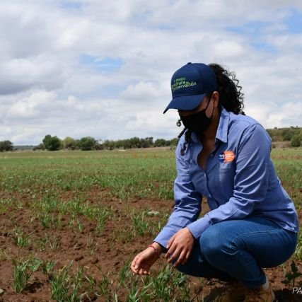 Agronomía 🌱
Siguiendo un camino sustentable!
Técnico del programa @MasAgroGto 👩‍🌾🌾🌽