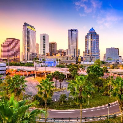 The Tampa Bay Microsoft 365 User Group holds free, community-run monthly meetings for all things Microsoft 365 💻 We love supporting new voices and UX topics 📢