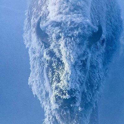 GJJU42125595's profile picture. Siempre me estoy Buscando.......