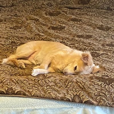 BendixJoshua's profile picture. What is up Besto Friendos!