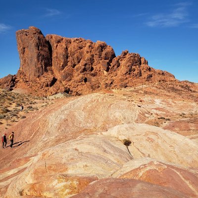 themartybark's profile picture. 